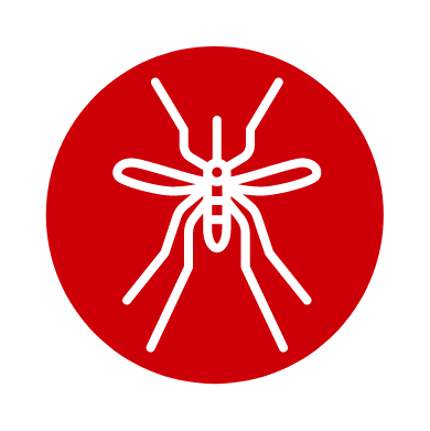 Mosquitos